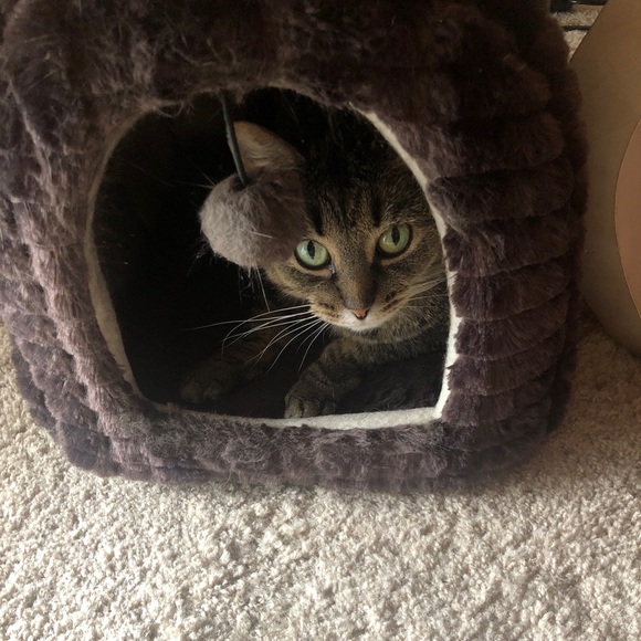 Meet your Posher, Corinne - Picture 7 of 12